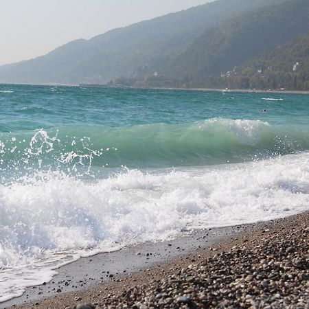 Mamzyshkha Guest House Gagra Exterior foto